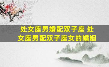 处女座男婚配双子座 处女座男配双子座女的婚姻